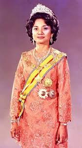 Tuanku abdul rahman ibni almarhum tuanku muhammed gcmg (jawi : The Princess Bahiyah Of Negeri Sembilan 1930 2003 She Was A Daughter Of Great Lord Abdul Rahman And His 3rd Wife Elegante Braut Sophisticated Style Elegant