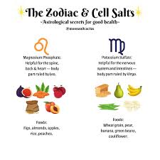 The Zodiac And Virgo Learn Astrology Astrology And Horoscopes Body Systems
