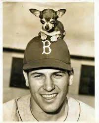 Darwin Price (@gnarwinprice) • Instagram photos and videos