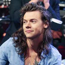 From full rocker mane to short back and sides, these are his finest follicle moments 50 Harry Styles Haircut Ideas To Try Men Hairstyles World