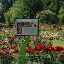 Scuarurile, gradinile si parcurile sunt cele trei forme pe care le. Pdf Gradina Botanica Dimitrie Brandza A Universitatii Din Bucuresti La 150 De Ani De Existenta