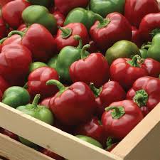 Sweet red bell peppers (capsicum annuum) come from the same plants that produce green bell peppers; Snackabelle Red Pepper