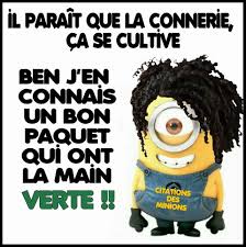 Citation Des Minions Bing Images Minion Humour Blagues Mignonnes Minions