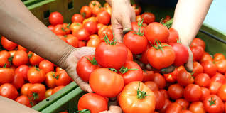 Online business platform for organic food suppliers, exporters, manufacturers, importers, buyers the fastest growing b2b platform that connects organic food suppliers with wholesale buyers. Supplier Requirements Campbell Soup Company