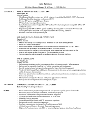 Coordinate with product developers, software designers, testing and consultants to ensure completion of project requirements in a timely manner. Sap Bi Resume Sample Zerat