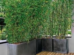 decoration de jardin elle decoration bambou en pot jardins jardin maison