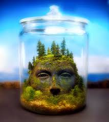 Leanne Cardwell (leanneiva)