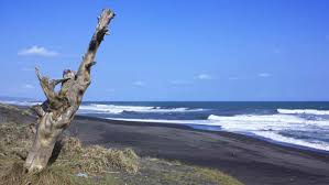 Wisata pantai memang sudah menjadi tempat favorit bagi kebanyakan orang untuk mengisi liburan panjang bersama keluarga ataupun teman. Pantai Goa Cemara Htm Rute Foto Ulasan Pengunjung