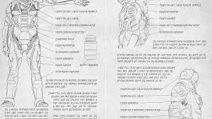 30.01.2022 · it should be little surprise, given a moment's thought, that distinct cybertronian languages exist. Duneinfo On Twitter With Dunemovie Coming Out In The Next Day Or So For The Uk Canada And The Us This Might Be A Good Time To Brush Up On Stillsuits So