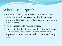 Image result for Ergotism