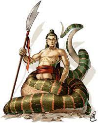 We breakdown the complete naga pros and cons. Naga Physiology Superpower Wiki Fandom