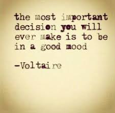 Voltaire Quotes Google Search Frases De Mal Humor Ser Positivo Frases Palabras De Inspiracion