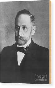 Scientist Richard Martin Willstatter Wood Print by Bettmann