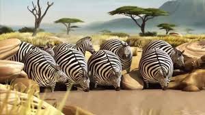 Image result for pics of africa