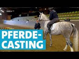 polizei ladt pferde zum casting gestut marbach youtube in 2021