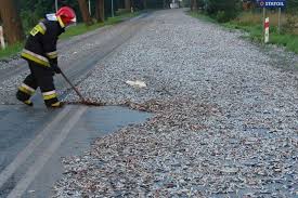 It occurs up to four times in a year. Por Que Ocurre La Lluvia De Peces Y Ranas Meteorologia En Red