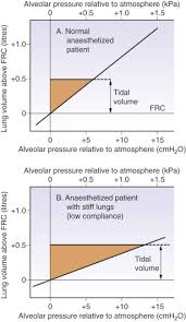 Work Of Breathing An Overview Sciencedirect Topics