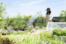 Professional Lawn And Landscape Company In Signal Mountain Tn 37377