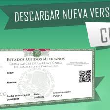 Ahora ya saber cómo imprimir tu curp en línea, con lo que podrás realizar gran cantidad de trámites. Como Consultar Mi Curp En Linea La Verdad Noticias