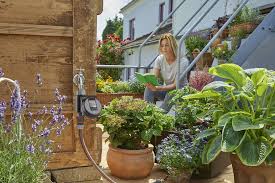 Maybe you would like to learn more about one of these? Top Gardening Tips Five Quick And Easy Ways To Keep Your Garden Flowering During The Hot Summer Months Homes And Property Evening Standard