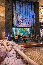 The cheapest way to get from istanbul to vancouver aquarium costs only $639, and the quickest way takes just 13¼ hours. Vancouver International Airport Yvr On Twitter Prepare To Be Mesmerized Yvr S 114 000 Litre Vanaqua Aquarium In The International Terminal Is Home To More Than 5 000 Creatures Including Wolf Eels Sea Stars Sea Urchins