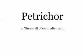 The Word Is Constructed From Greek Petra Meaning Stone Ichor The Fluid That Flows In The Veins Of The Gods In G Cool Words Aesthetic Words Uncommon Words