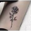 Lịch sử hội họa được bắt đầu từ những hiện vật của người tiền sử và trải dài theo tất cả các nền văn hóa. Https Encrypted Tbn0 Gstatic Com Images Q Tbn And9gcr2kiftt8zud0nuexg9uvc8grm Rlhjww3unpbpoga Usqp Cau