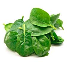 Jun 08, 2020 · spinach does very well in cold weather and can tolerate temperatures as low as 20 degrees. Spinach Foodlink Purdue Extension