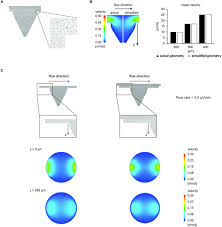 Check spelling or type a new query. Frontiers Microfluidic Biofabrication Of 3d Multicellular Spheroids By Modulation Of Non Geometrical Parameters Bioengineering And Biotechnology