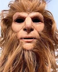 Resin or silicone for Predalien hair?