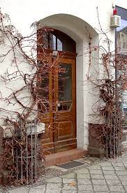 We did not find results for: Climbing Hydrangea Hydrangea Petiolaris