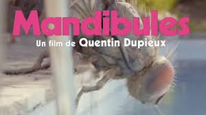 It stars david marsais, grégoire ludig, adèle exarchopoulos, india hair, roméo elvis, coralie russier and bruno lochet. Bande Annonce Teaser Du Film Mandibules De Quentin Dupieux