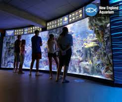 The oregon coast aquarium is a 501(c)3 nonprofit organization located in newport, on the beautiful oregon coast. City Cams Live Beaches