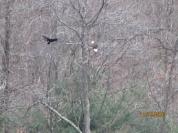 See traveler reviews, photos and blog posts. Parker Dam State Park A Pennsylvania State Park Located Near Clearfield Du Bois