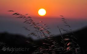 .whether the bright moon is in the west, / whether the morning star is in the east;. Soncni Zahod Wallpaper Adriatic Hr