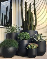 Cantinho 3 Floricultura E Paisagismo Goiânia Go Composicoes De Vasos Em 2020 Jardinagem E Decoracao Jardins Pequenos Jardinagem Em Vasos