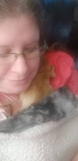 Goodmorning all!!!🎶🎵♥️have an nice day today hugs from Cato ♥️🎵🇳🇱and  my Owner Alice 🥰