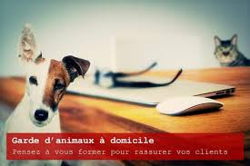 Faites garder votre chien ou chat par un particulier de votre ville. Comment Faire De La Garde D Animaux A Domicile Et Gagner De L Argent