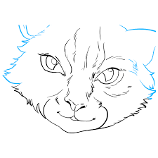 All you will need is a pencil, pen, or marker and a sheet of paper. How To Draw Cat Eyes Really Easy Drawing Tutorial