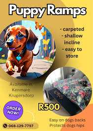 Dog ramp for side of bed?