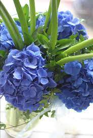 Cityplace is described as an upscale lifestyle center. Simply Flowers Home Facebook