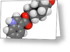 Image result for Dolasetron