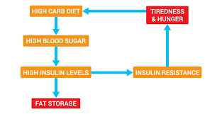Learn about a treatment option that may be able to reduce total insulin injections. How Does Low Carb Work And Affect Fat Burning Blood Glucose Insulin Resistance