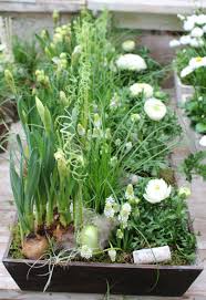 Pin Von Mauk Gartenwelt Auf Fruhlingsdekoration Fruhlingsschalen Osterdekoration Osterschalen Ostergesteck Fruhlingsblumen Pflanzen Fruhlingsblumen Fruhlings Dekoration
