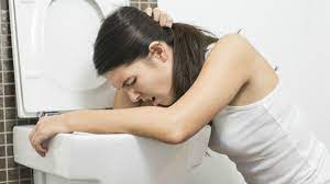 Por Que Mi Perro Sigue Vomitando Bilis Amarilla Lifehacks De Luisa Olvera