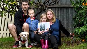 5 spring cleaning tasks for your yard or garden. Mushroom Poisonous To Dogs Killed Two Pets In Less Than 24 Hours The Advertiser