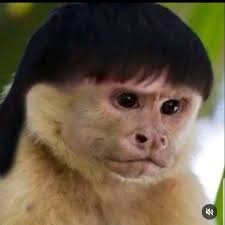 Bahahahahahaha we know who called that! Magats got duped again