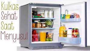 Tips Menyimpan Makanan Dan Minuman Di Kulkas Untuk Ibu Menyusui Tips To Keep Food And Drinks In The Refrigerator For Nursing Kulkas Penyimpanan Makanan Bayi