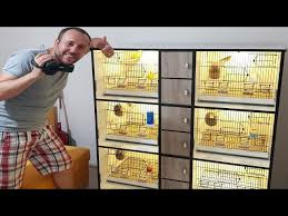 Ultra Superlux Kus Kafesi Kuruyoruz Youtube