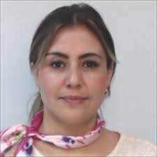 Portal de Enlace Académico